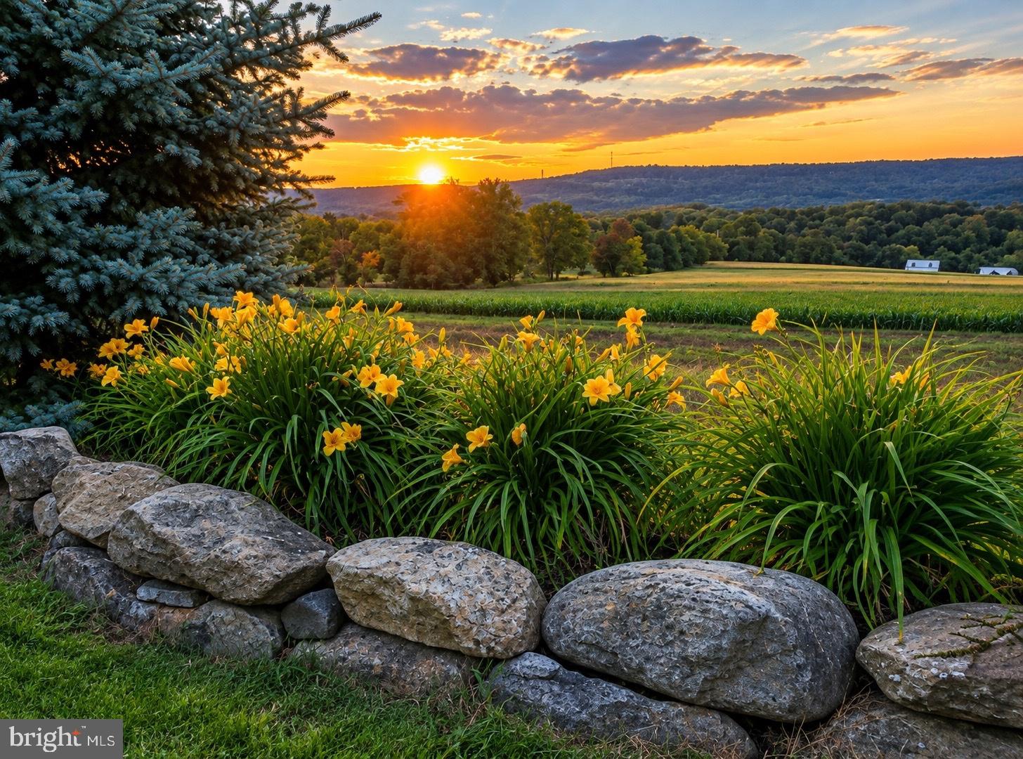 Your future meticulously lanscaped side yard.