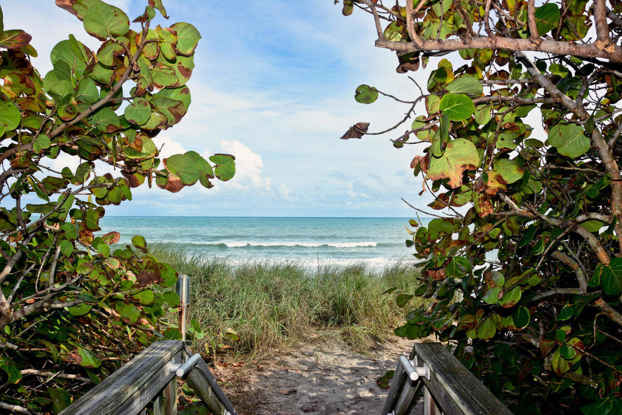 603 Dakota Drive Jupiter, FL 33458 - Photo 34 of 34 a view of banana tree