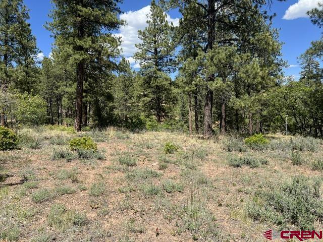 250 Copper Rim Trail Durango, CO 81301 - Photo 6 of 11