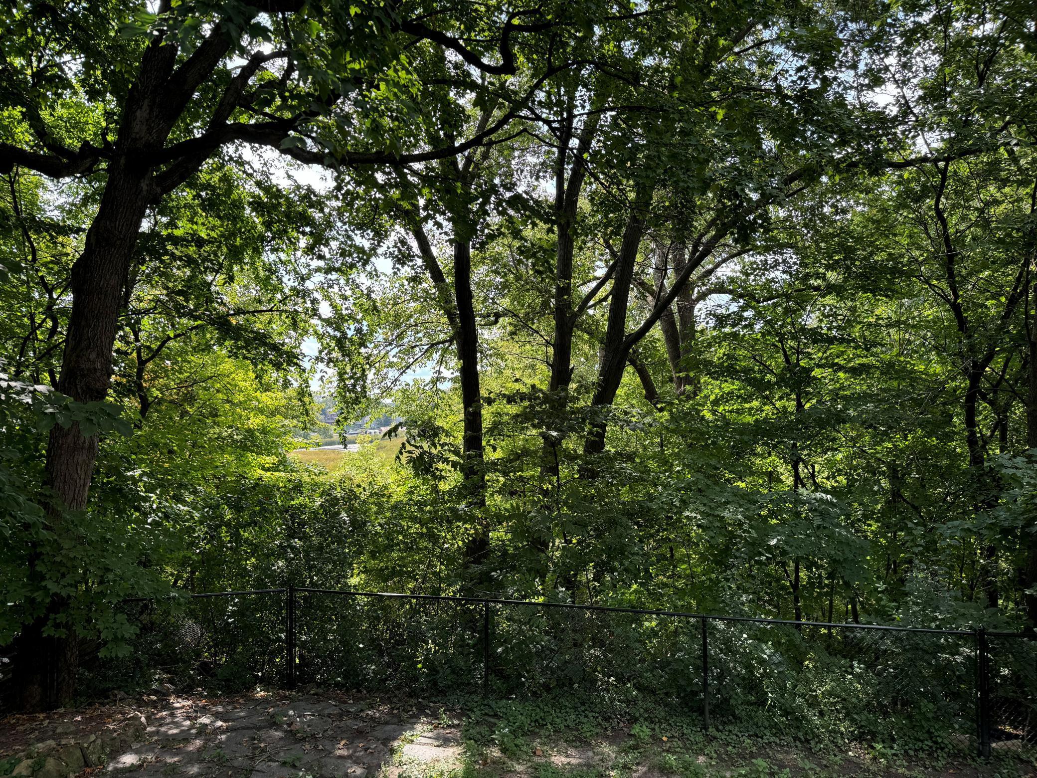 5129 Waterbury Road Mound, MN 55364 - Photo 7 of 13