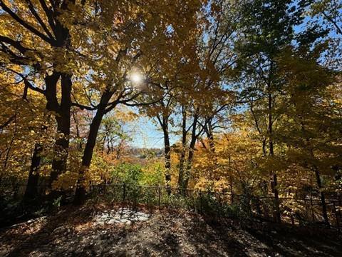 5129 Waterbury Road Mound, MN 55364 - Photo 9 of 12