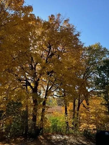 $749,000 | 5129 Waterbury Road, Mound, MN 55364