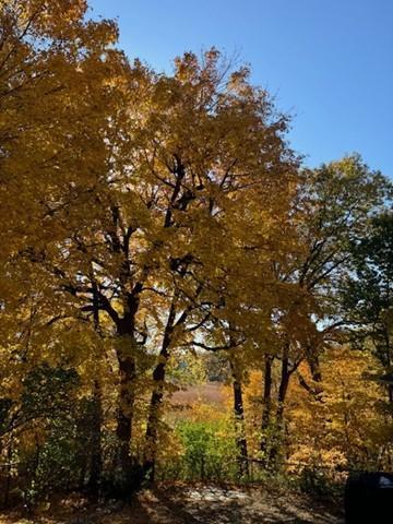 5129 Waterbury Road Mound, MN 55364 - Photo 9 of 13