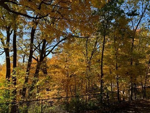 5129 Waterbury Road Mound, MN 55364 - Photo 10 of 12