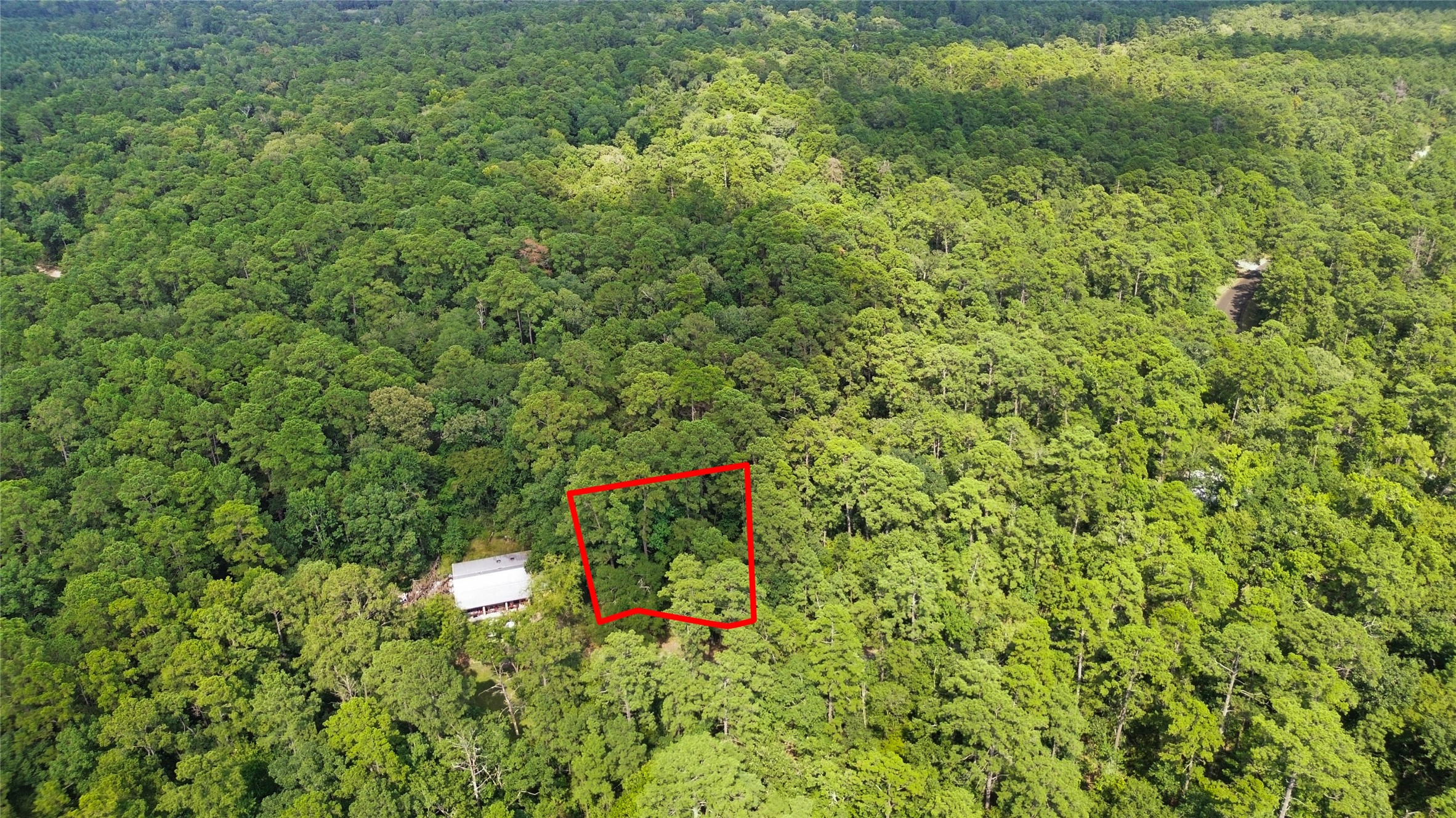 0 West Oak Drive Oakhurst, TX 77359 - Photo 2 of 6 a view of a lush green yard