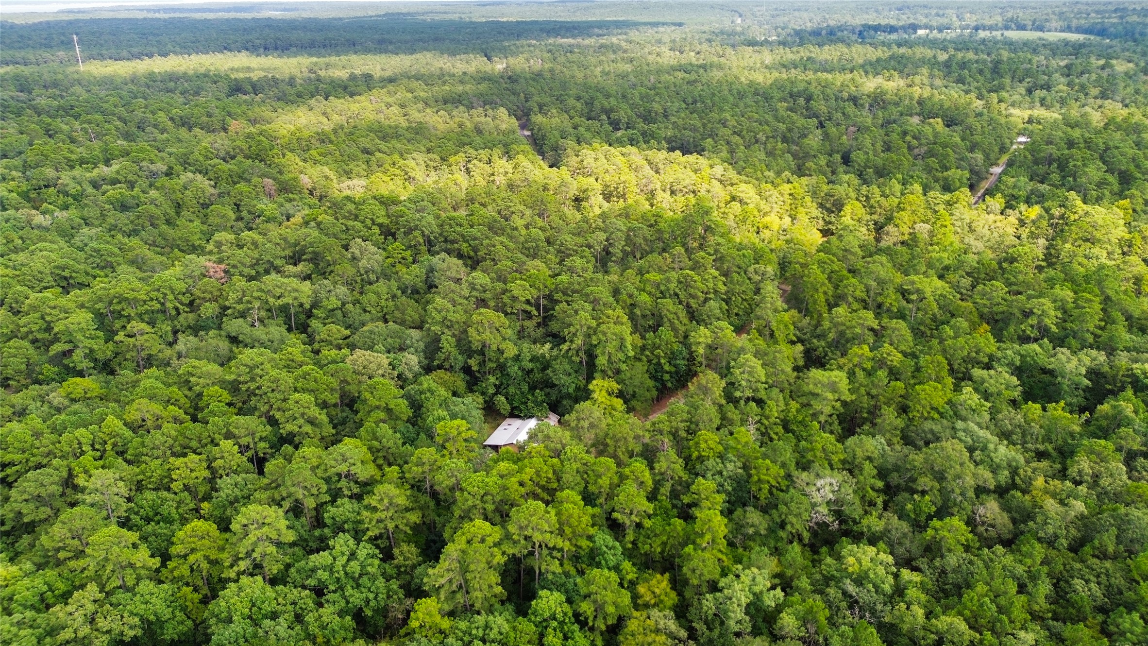 0 West Oak Drive Oakhurst, TX 77359 - Photo 5 of 6 a view of a bunch of plants