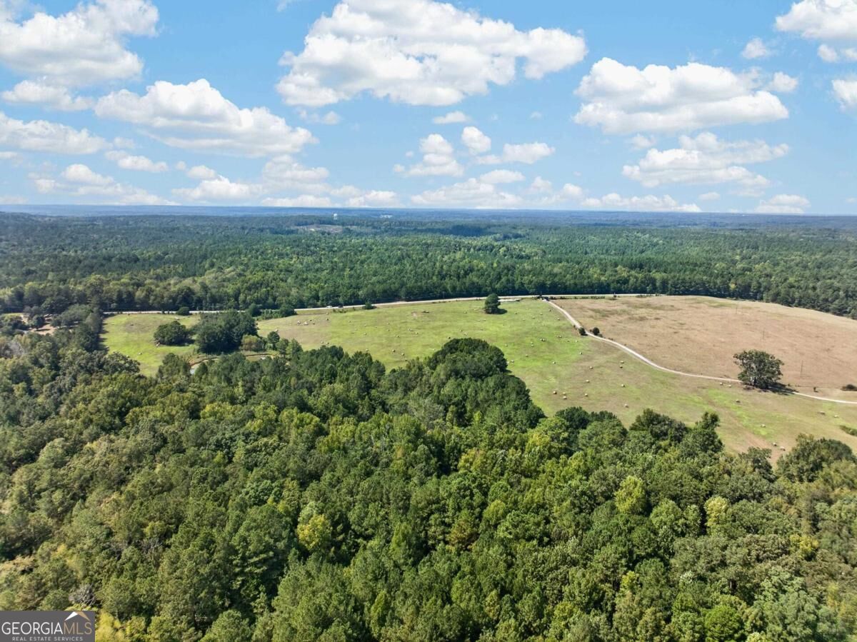 252 Parks Mill Road Buckhead, GA 30625 - Photo 6 of 19 Gallery Image 6