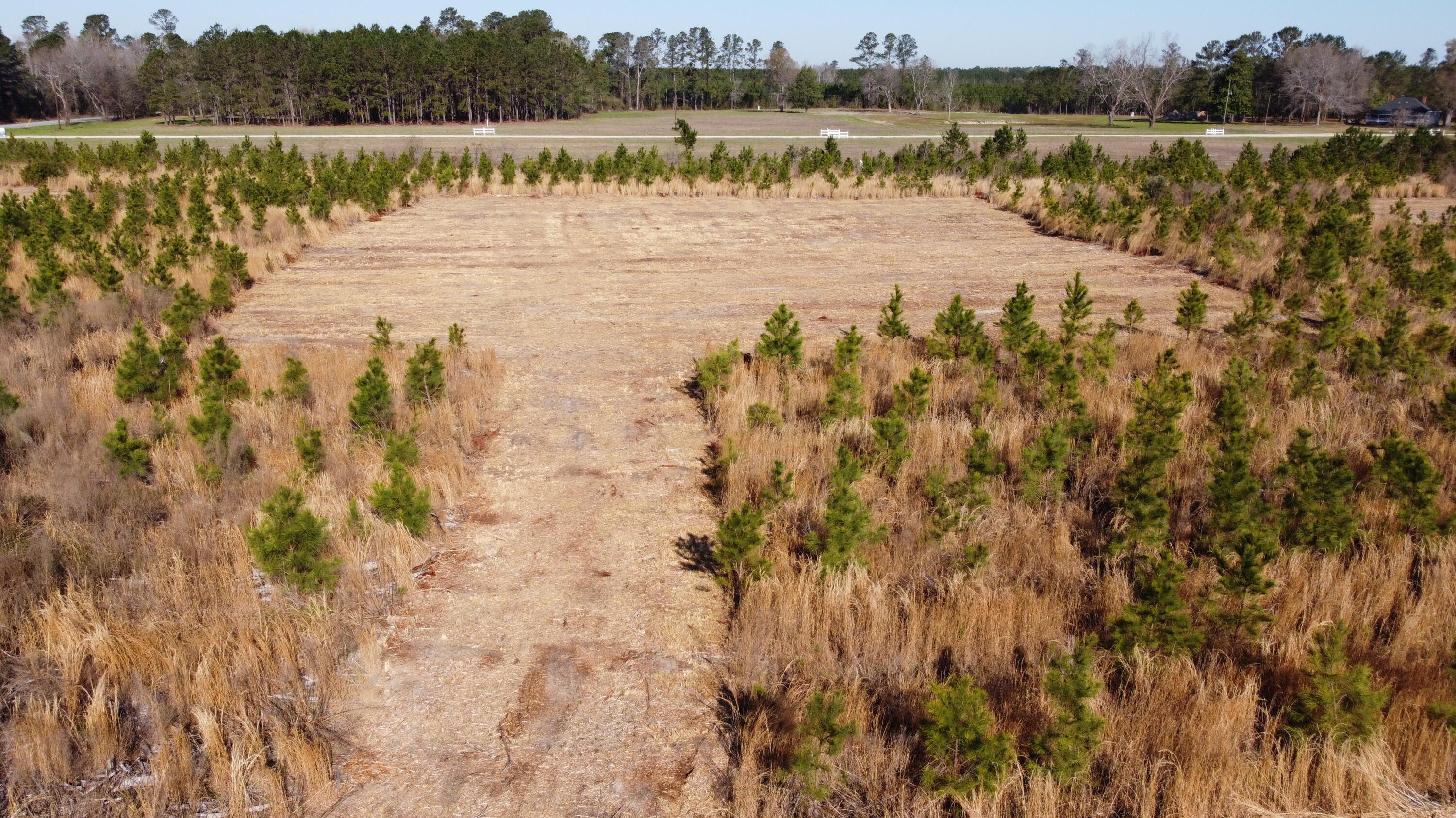 3 Highway 6 Gaston, SC 29053 - Photo 1 of 13 DJI_0086