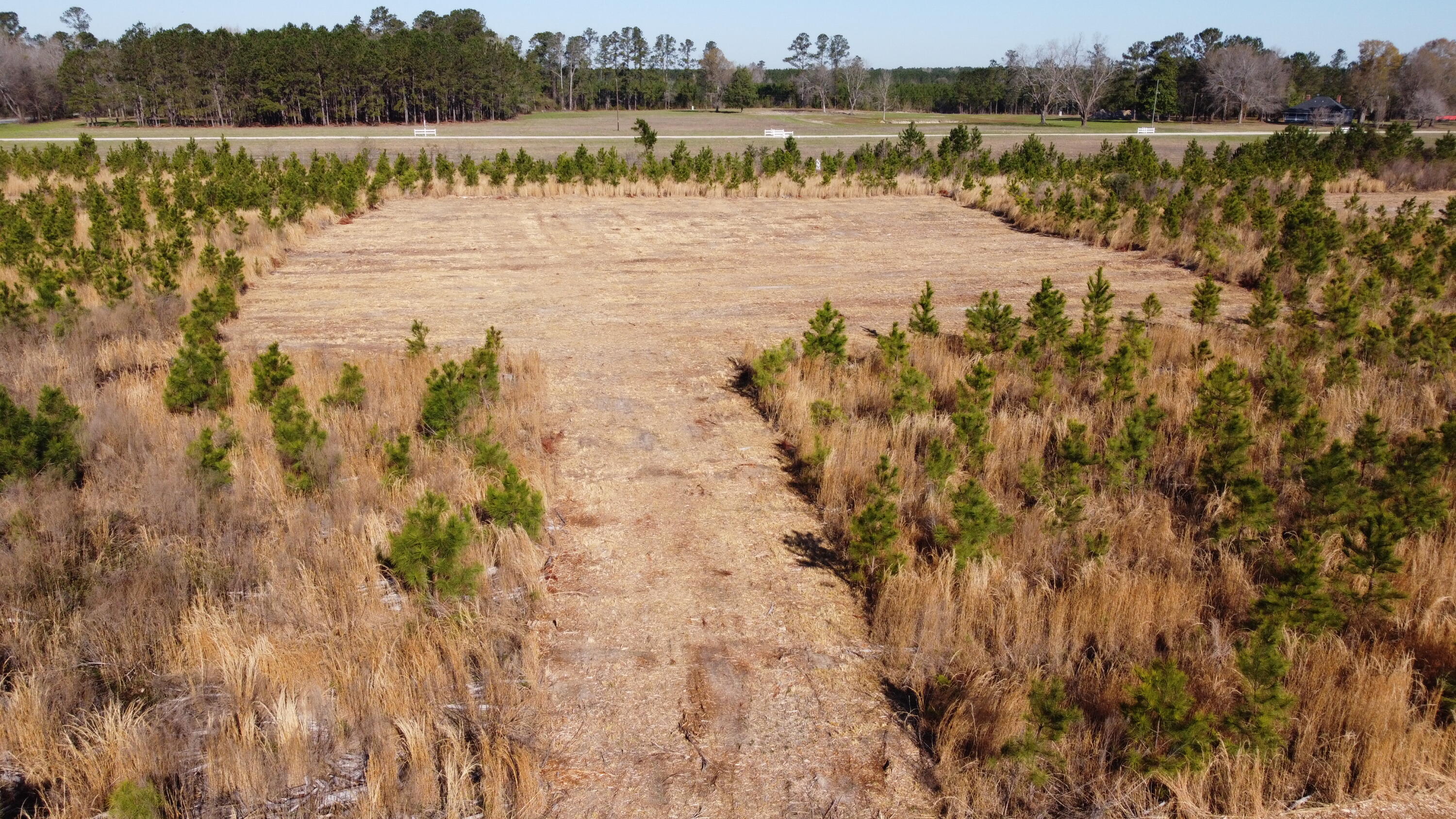 3 Highway 6 Gaston, SC 29053 - Photo 2 of 13 DJI_0087