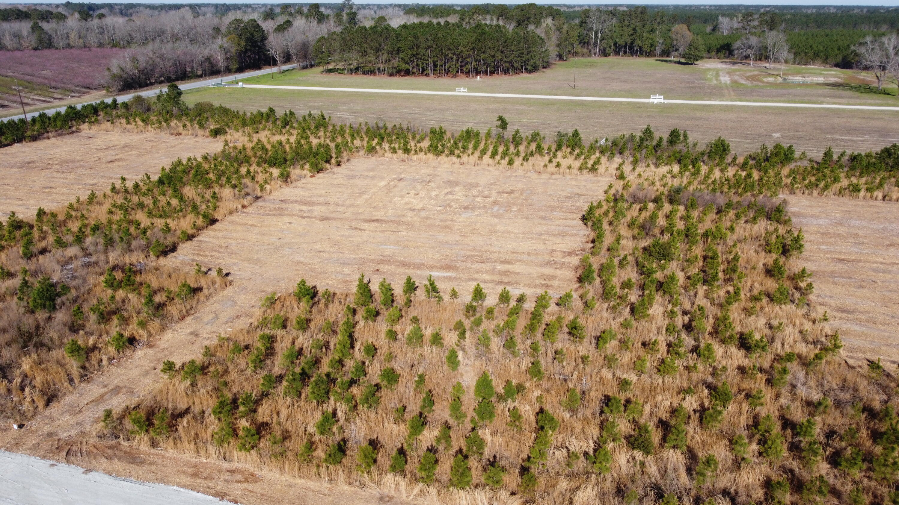 3 Highway 6 Gaston, SC 29053 - Photo 4 of 13 DJI_0090