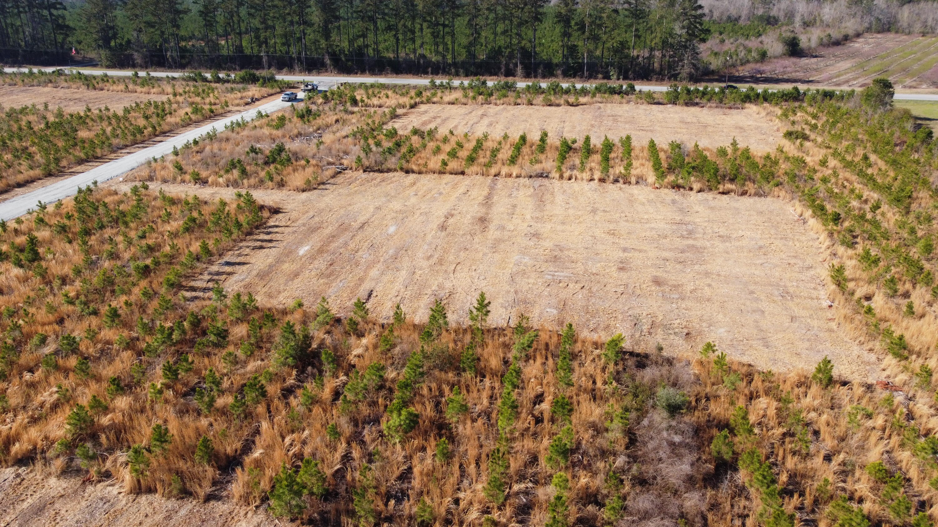 3 Highway 6 Gaston, SC 29053 - Photo 6 of 13 DJI_0094