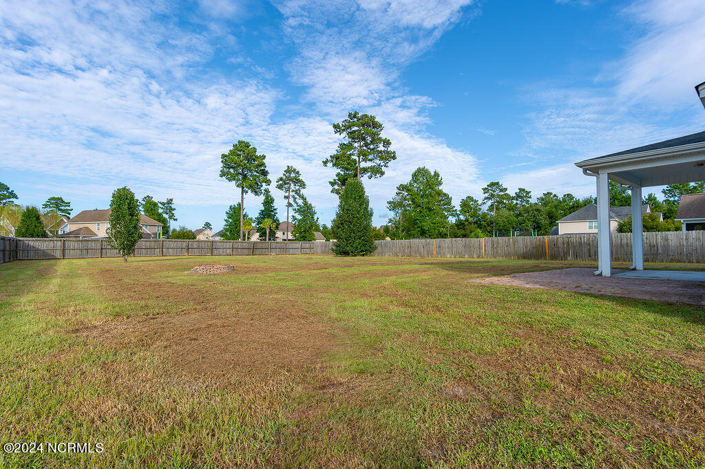 118 Peytons Ridge Drive Hubert, NC 28539 - Photo 61 of 68 DSC_5786-Enhanced-NR