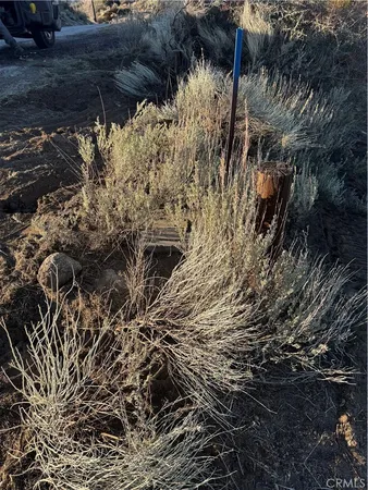 a view of a wooden wall with a tree