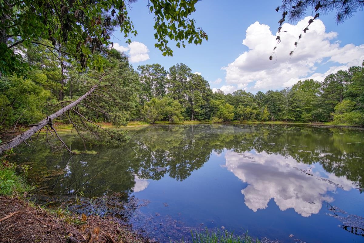 145 Robin Drive Fountain Inn, SC 29644 - Photo 11 of 36