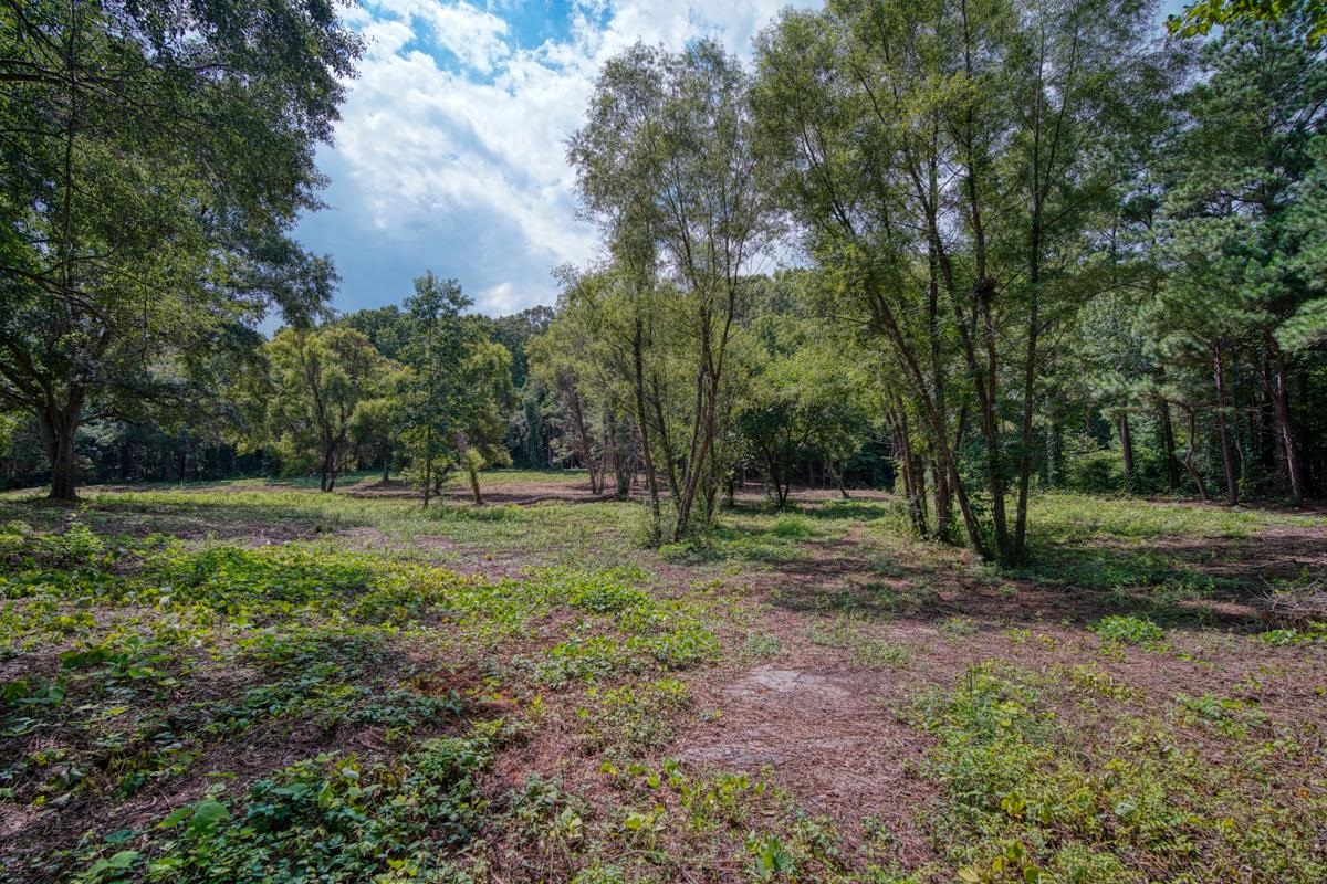 145 Robin Drive Fountain Inn, SC 29644 - Photo 13 of 36
