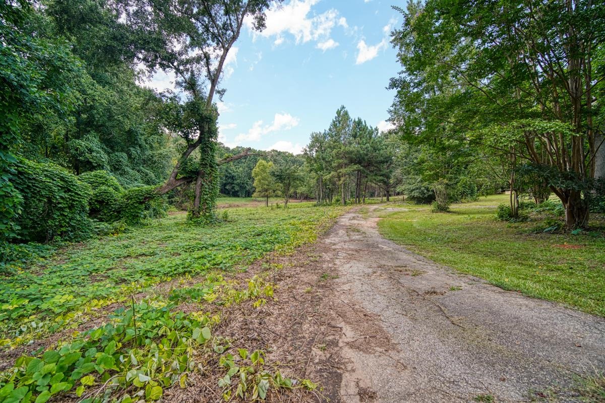 145 Robin Drive Fountain Inn, SC 29644 - Photo 15 of 36
