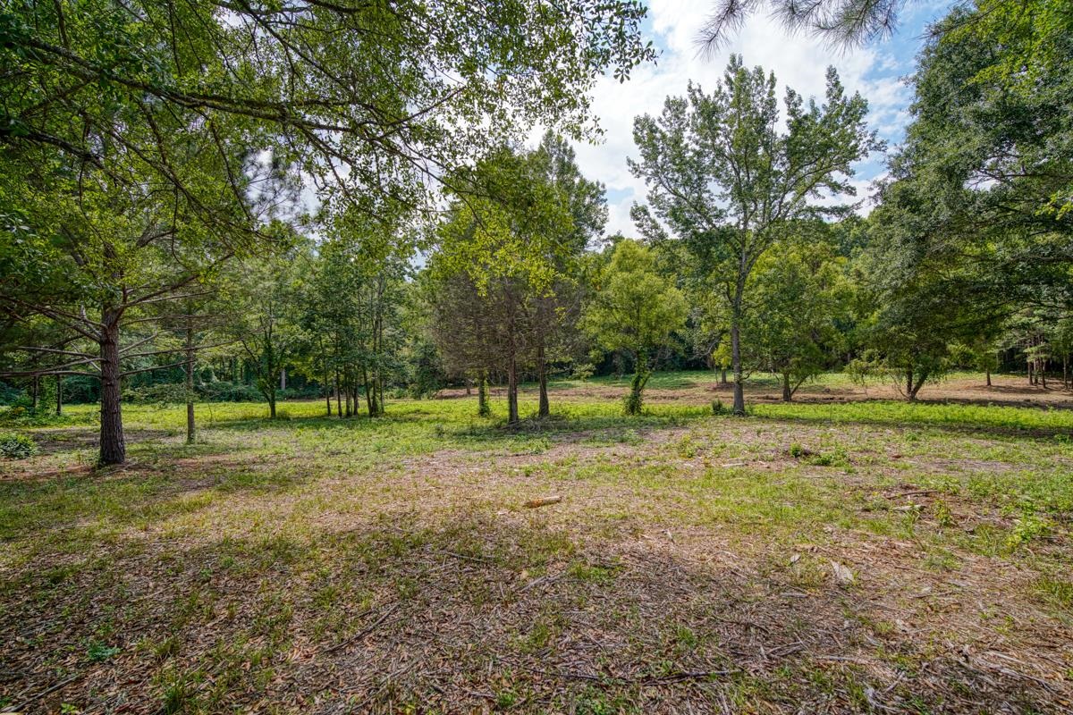 145 Robin Drive Fountain Inn, SC 29644 - Photo 19 of 36