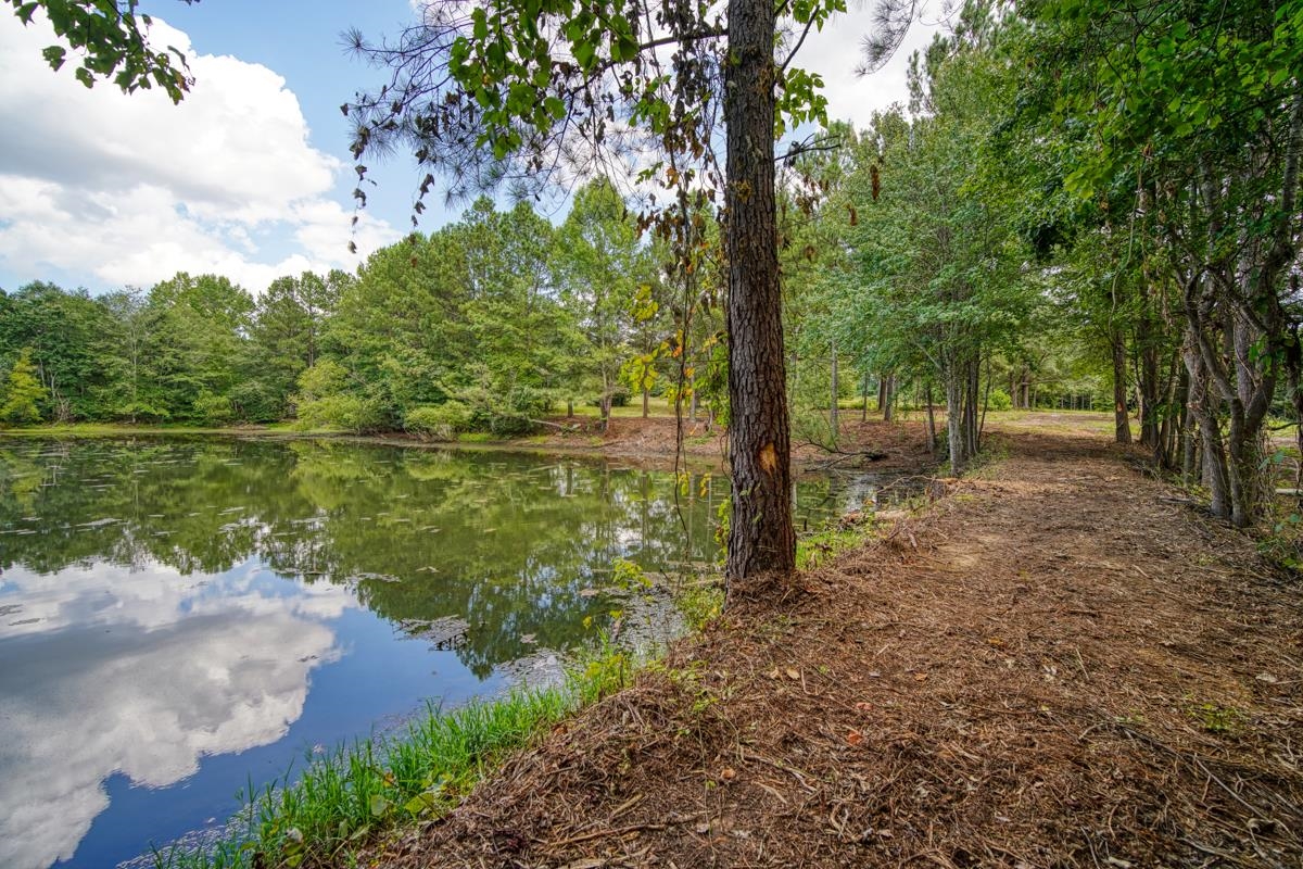 145 Robin Drive Fountain Inn, SC 29644 - Photo 23 of 36