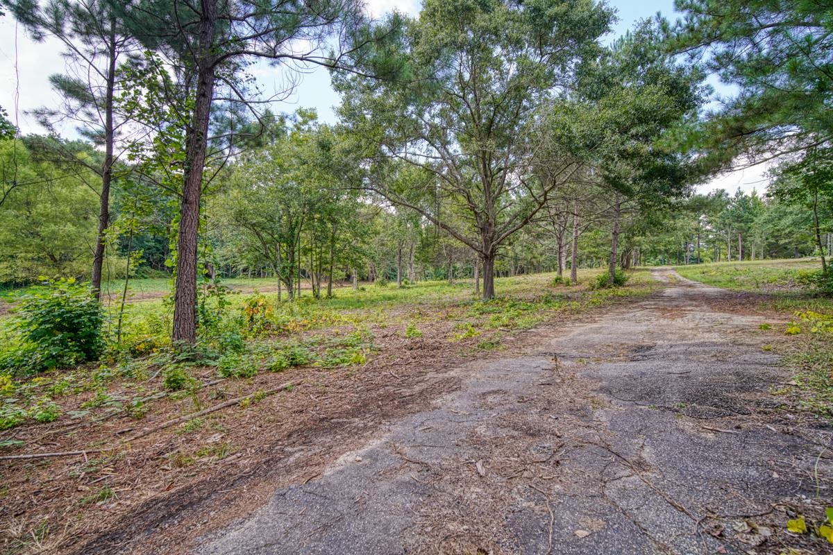 145 Robin Drive Fountain Inn, SC 29644 - Photo 26 of 36