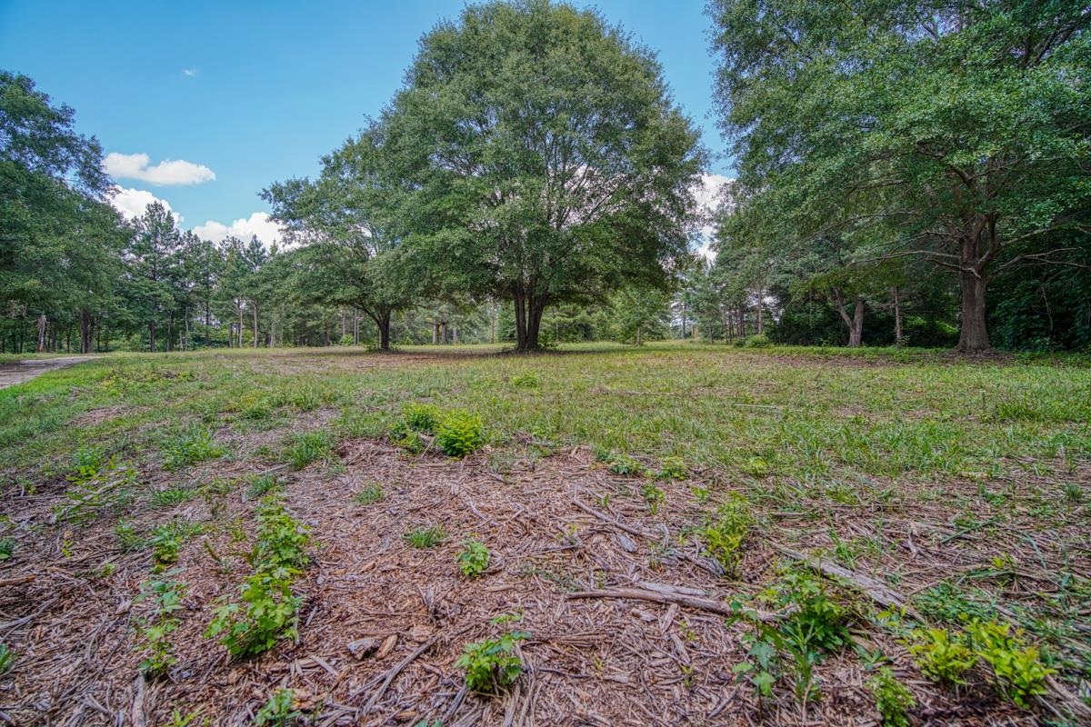 145 Robin Drive Fountain Inn, SC 29644 - Photo 30 of 36