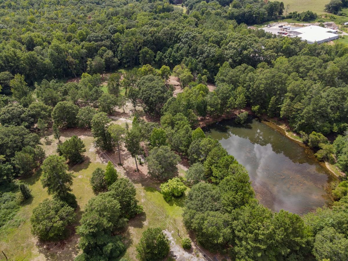 145 Robin Drive Fountain Inn, SC 29644 - Photo 8 of 36