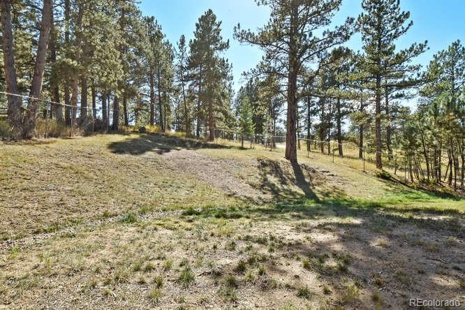 5393 South Pine Road Evergreen, CO 80439 - Photo 19 of 20 Gallery Image 19