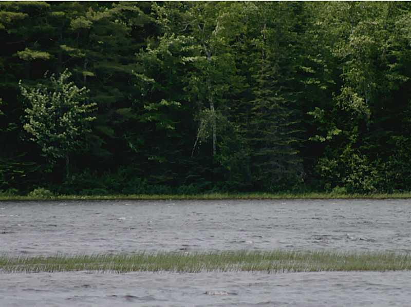 500 Dresser Road Bucksport, ME 04416 - Photo 25 of 28 Waterfront/Dock/Pier.