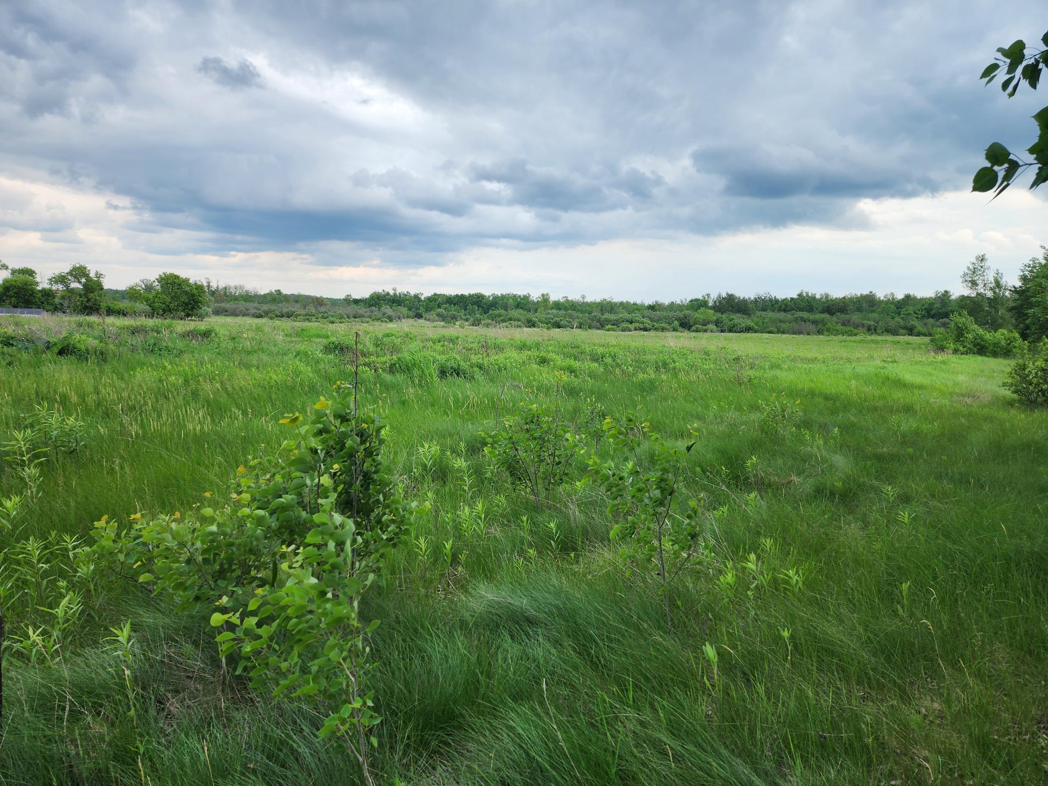 Tbd Rice Road Hinckley, MN 55037 - Photo 2 of 3