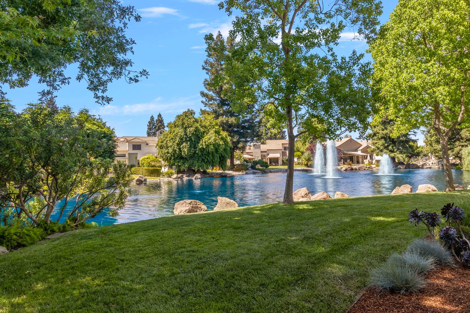 1013 Copper Lake Court Modesto, CA 95355 - Photo 33 of 66 a view of a garden with trees