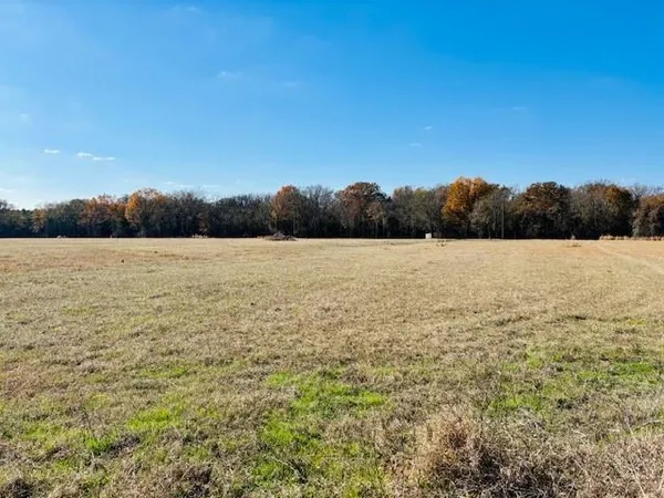 $66,000 | 954 County Road 1813, Yantis, TX 75497