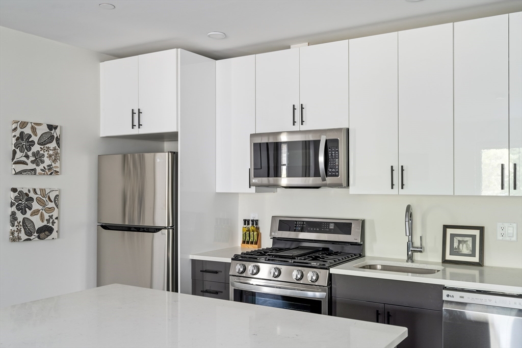 50 Stedman Street, Unit 207 Boston, MA 02130 - Photo 5 of 16