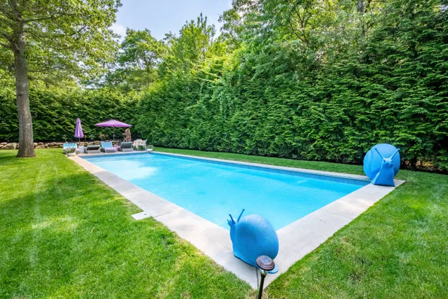 a view of a backyard with plants and a garden