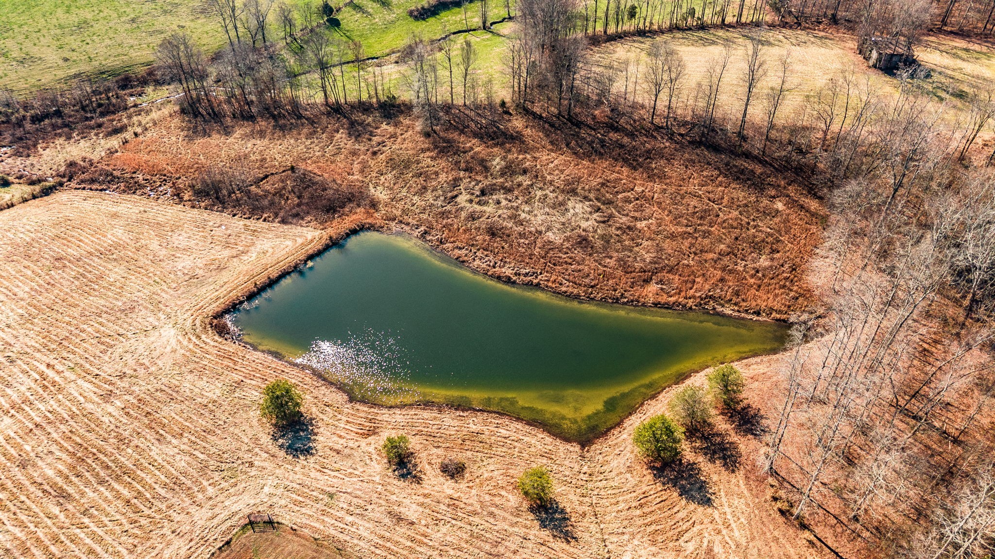 761 Olin Bean Road Red Boiling Springs, TN 37150 - Photo 2 of 35