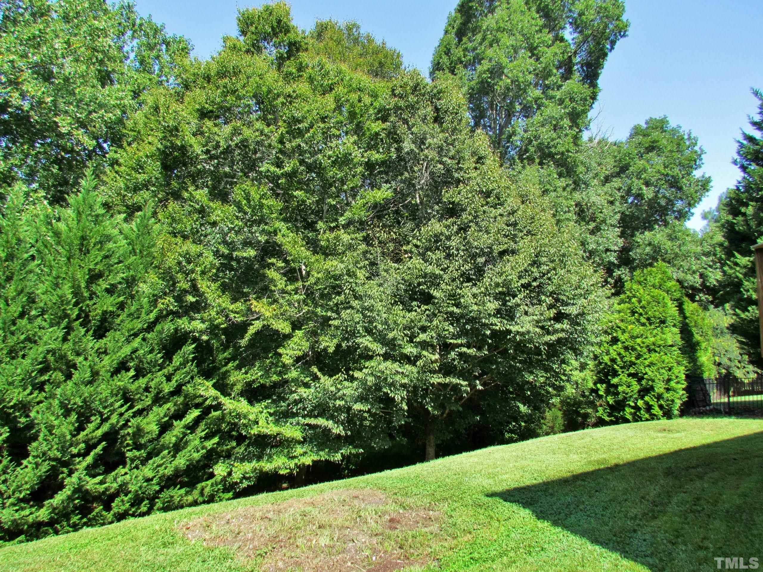 2240 Spruce Shadows Lane Raleigh, NC 27614 - Photo 26 of 29
