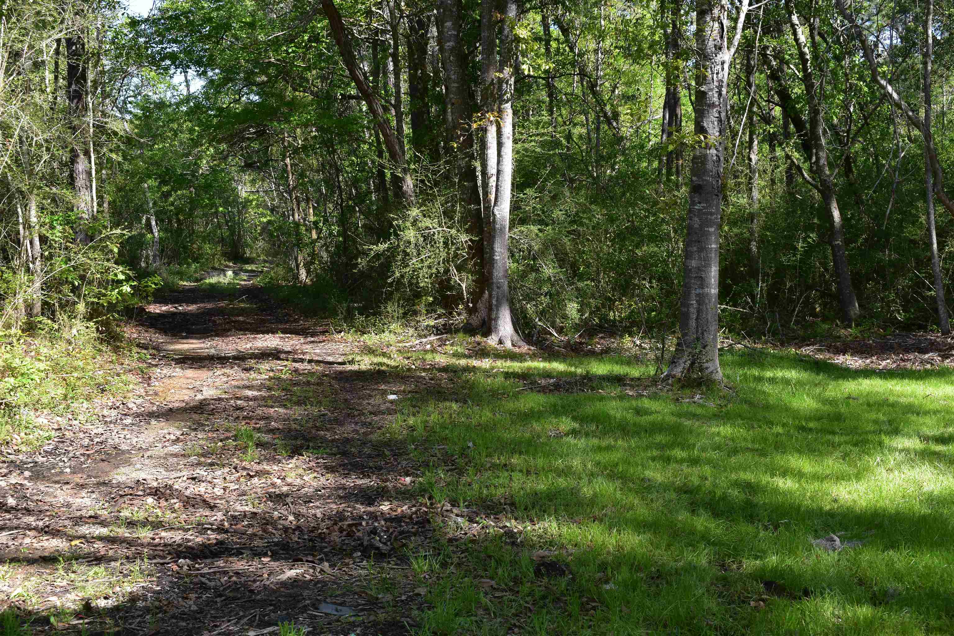 24171 Woerner Road Elberta, AL 36530 - Photo 8 of 15