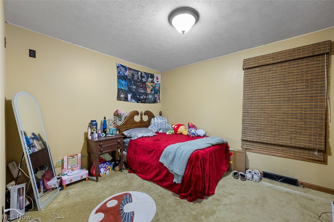 81910 Ourant Road Cadiz, OH 43907 - Photo 17 of 50