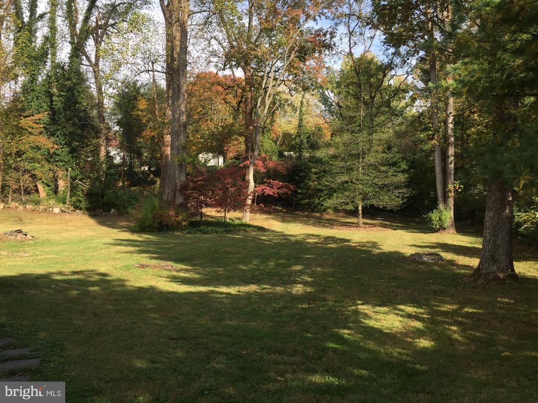 Over 1/2 Acre/Backs to Bike Trail