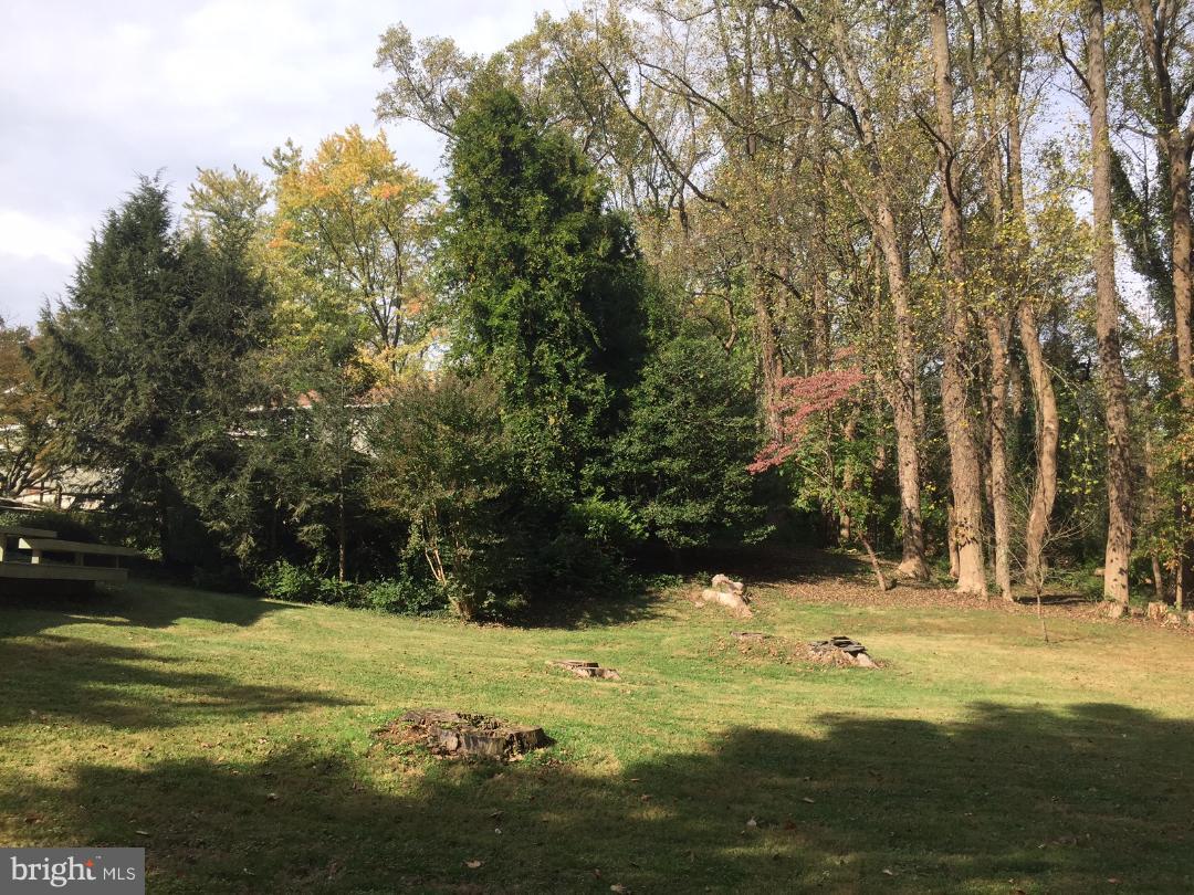 Large Back Yard