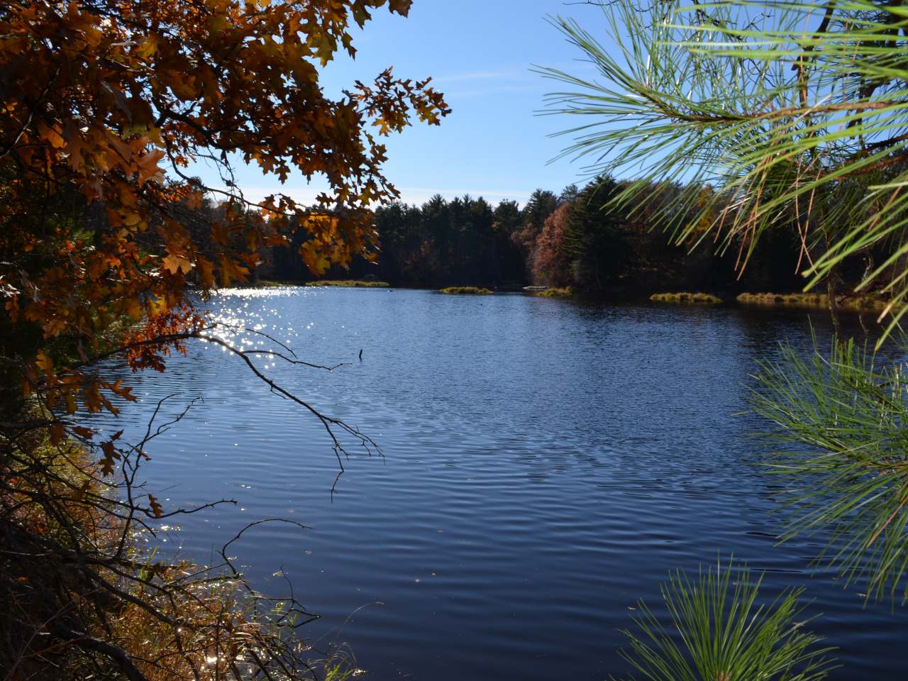 Lot 3 Point O Pines Road Tomahawk, WI 54487 - Photo 1 of 20 Gallery Image 1