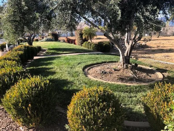 a view of a garden with a fountain
