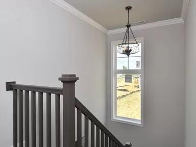 4073 Buttermilk Road Lexington, KY 40509 - Photo 102 of 124 795C7927-50A9-453E-AB37-7E8B2E82CC5C_4_5