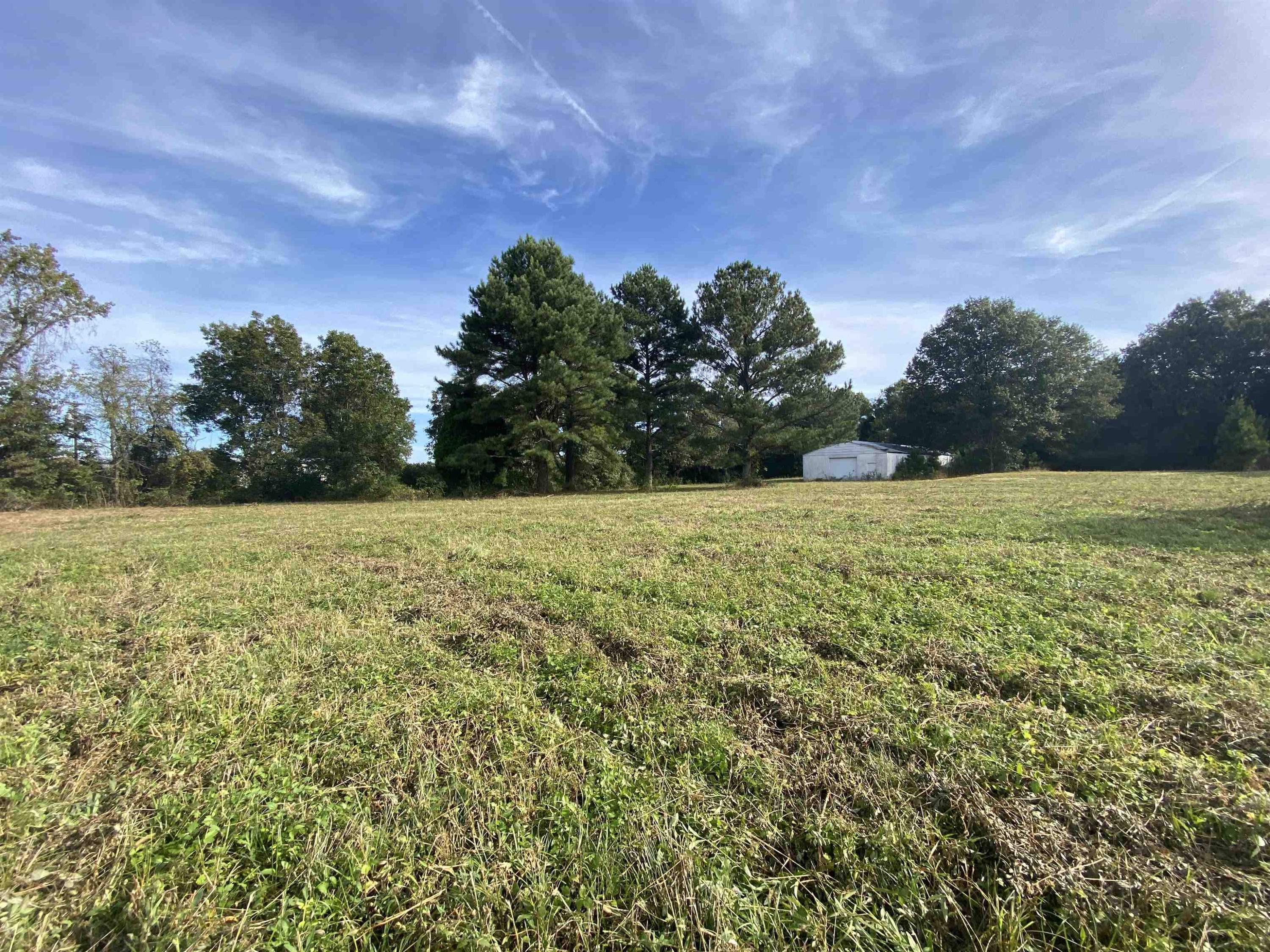 0 Westover Road Jackson, TN 38301 - Photo 3 of 12 a view of a field with an trees in the background