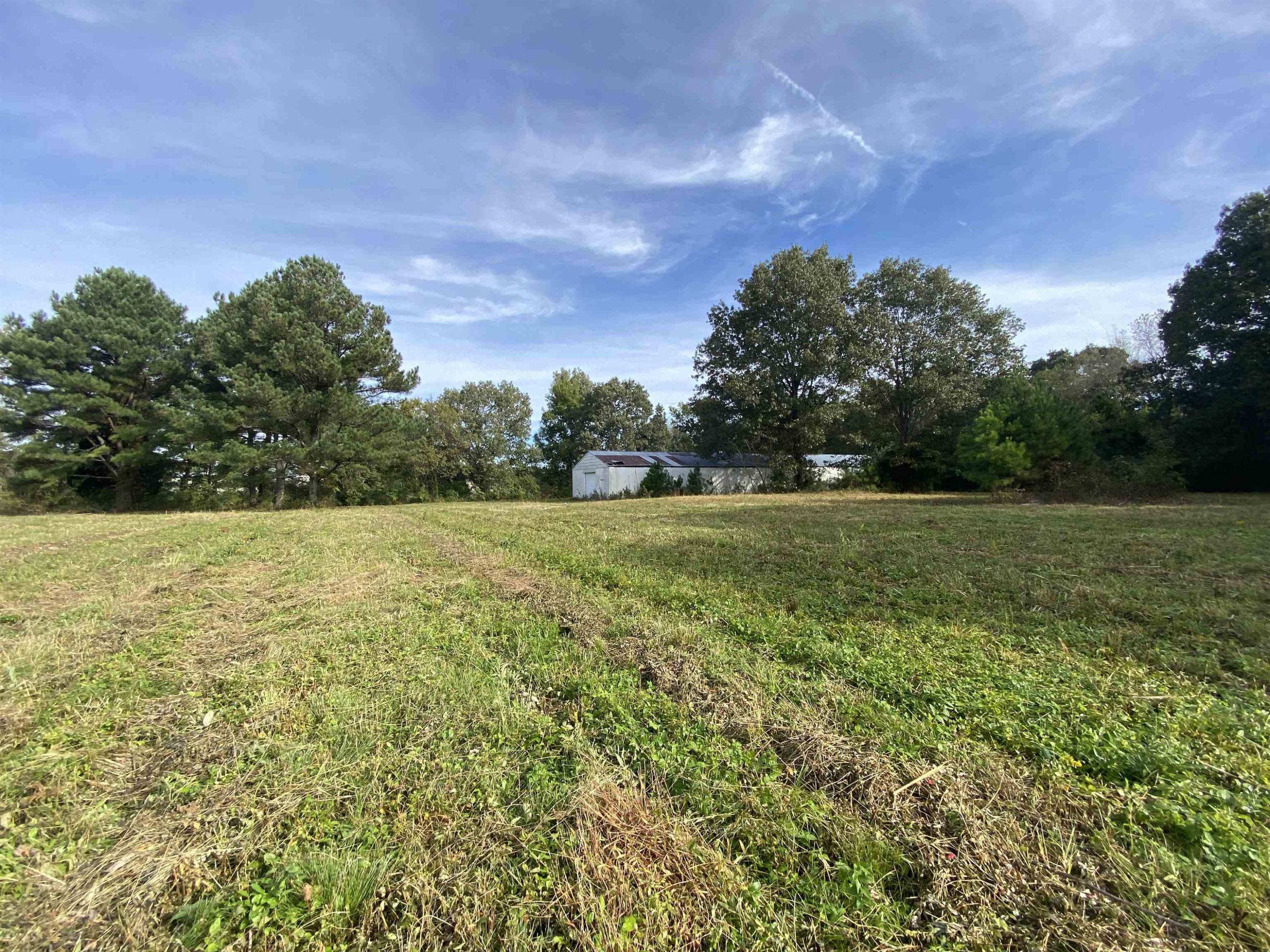 0 Westover Road Jackson, TN 38301 - Photo 8 of 12 a view of outdoor space with green field and trees all around