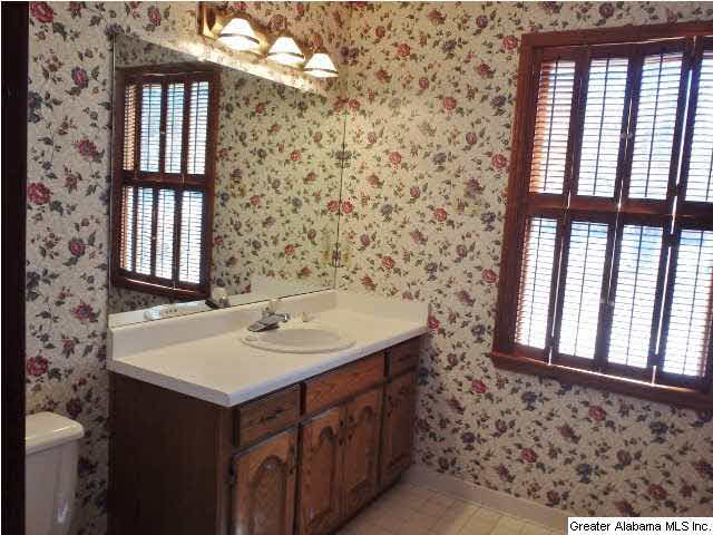 225 Cross Creek Lane Alpine, AL 35014 - Photo 13 of 19