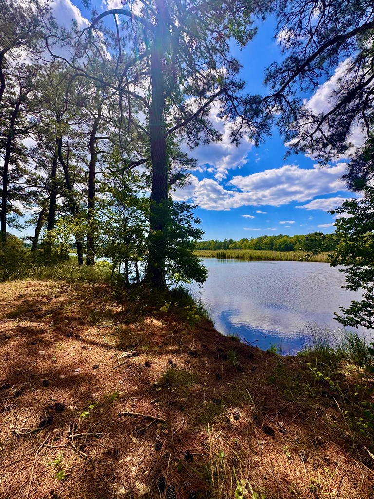Lot 2 Miles Road, Unit 2A New Church, VA 23415 - Photo 6 of 9