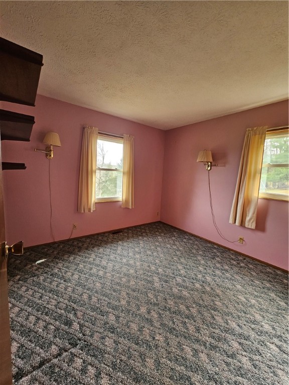 3963 Watkins Road Veteran, NY 14872 - Photo 16 of 45