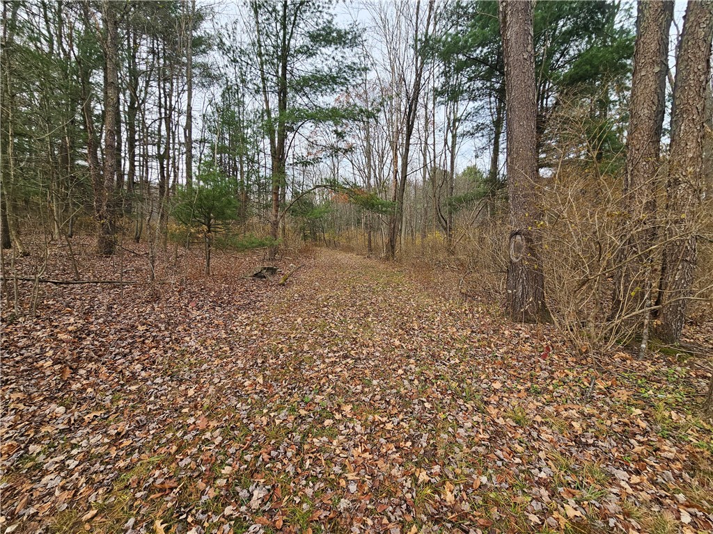 3963 Watkins Road Veteran, NY 14872 - Photo 36 of 45