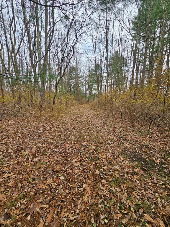 3963 Watkins Road Veteran, NY 14872 - Photo 37 of 45