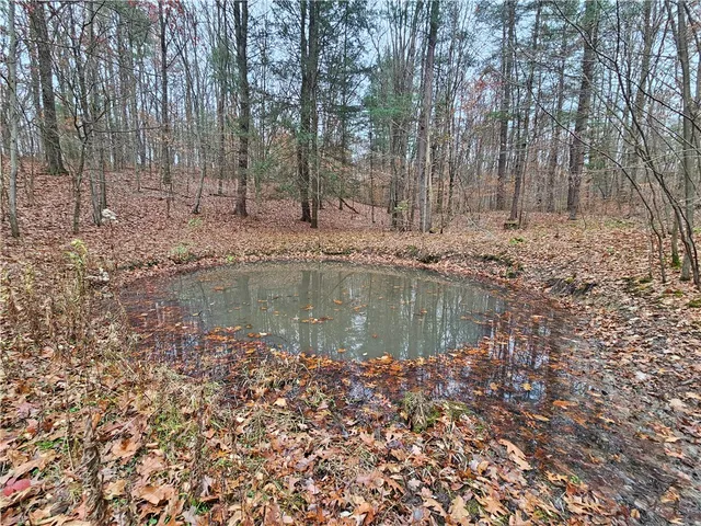 $349,000 | 3963 Watkins Road, Veteran, NY 14872