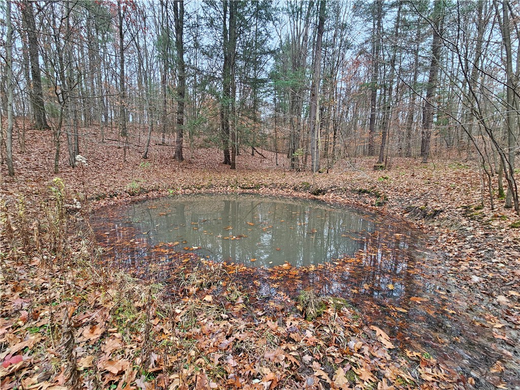 3963 Watkins Road Veteran, NY 14872 - Photo 45 of 45